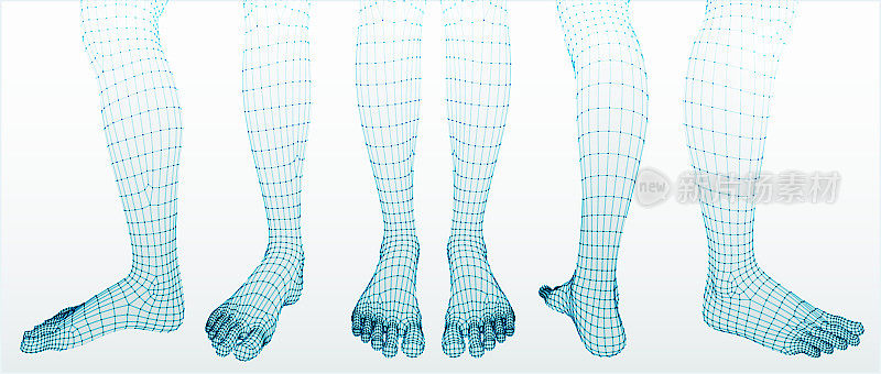 三维的脚。集。Ware mesh从3d应用程序。